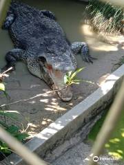 Sandakan Crocodile Farm