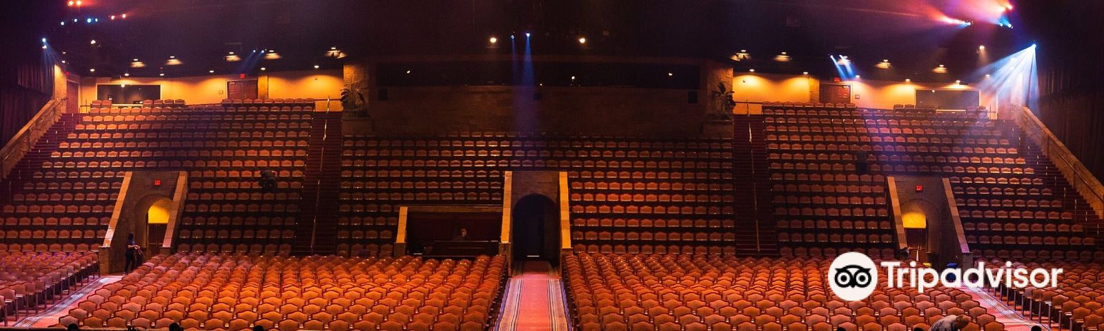 BransonTour giornalieri