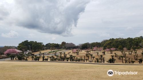 Yoshino Park kagoshima