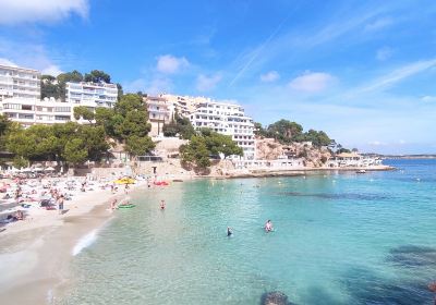 Serra de Tramuntana