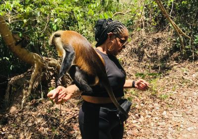 Tafi Atome Monkey Sanctuary And Cultural Village