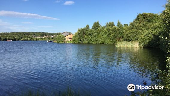 Townhill Country Park