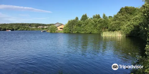 Townhill Country Park