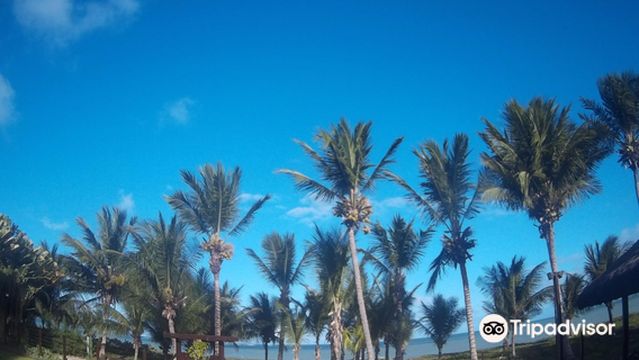 Ponta de Campina Beach