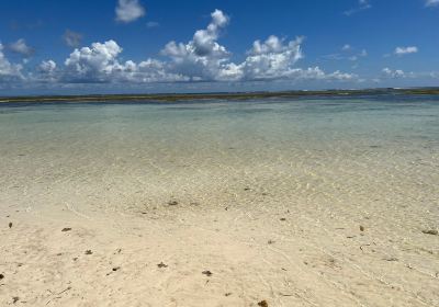 Anse Aux Pins Beach