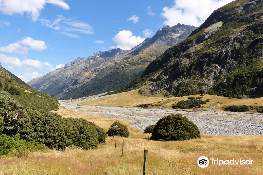 Ahuriri Conservation Park