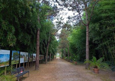 Jardin Botanique