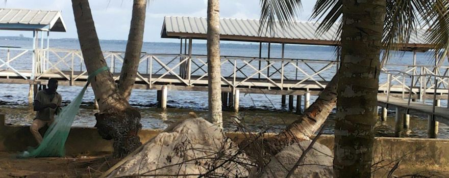 Dipi Crocodile Farm