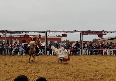 Distrito de Víctor Larco Herrera