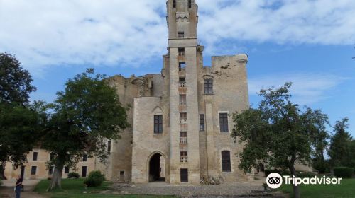 Chateau de Sagonne