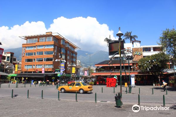 Plaza Foch