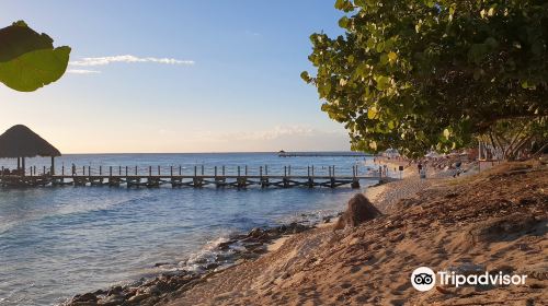 Public Beach Playa Dominicus