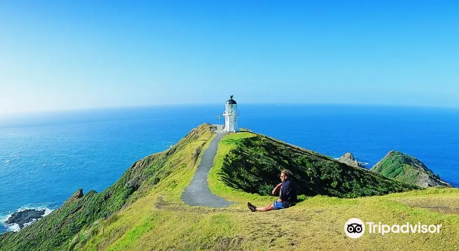 Cape Reinga/Te Rerenga Wairua Lighthouse Walk