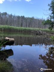 Eno's Pond County Park