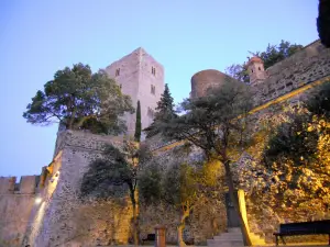 Royal Castle of Collioure