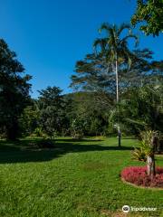 Belize Botanic Gardens