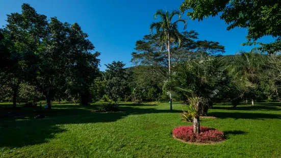 Belize Botanic Gardens