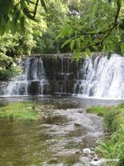 Rutter Force