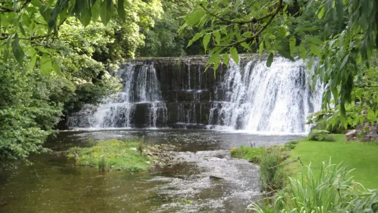 Rutter Force