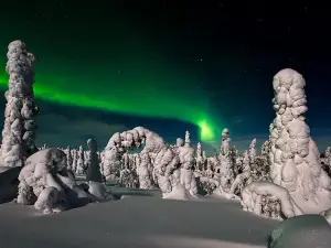 Parque nacional de Riisitunturi