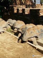 Hartbeespoort Dam Snake and Animal Park