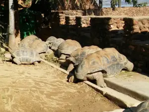 Hartbeespoort Dam Snake and Animal Park