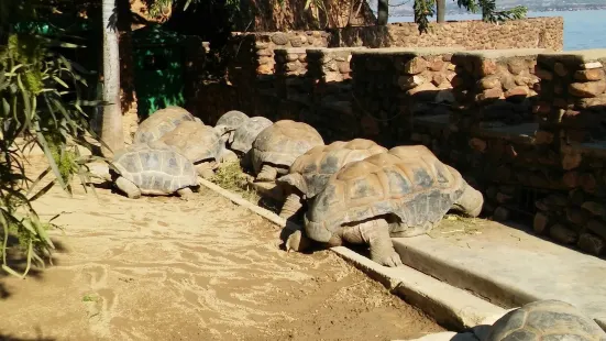 Hartbeespoort Dam Snake and Animal Park