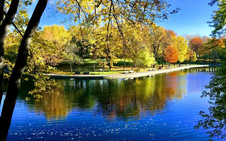 Hôtels à proximité de : Parc La Fontaine