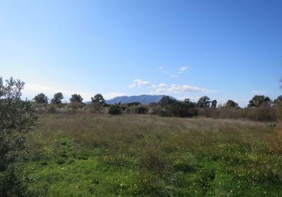 Parque del Guadalhorce