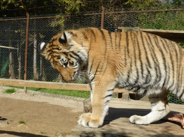 Các khách sạn ở Le Trait