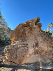 Hickison Petroglyph Recreation Area