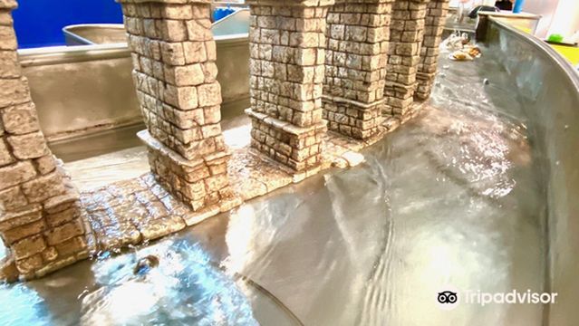 Discovery Center at Murfree Spring