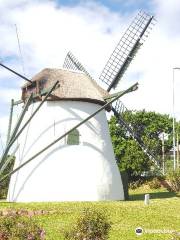 Mostert's Mill