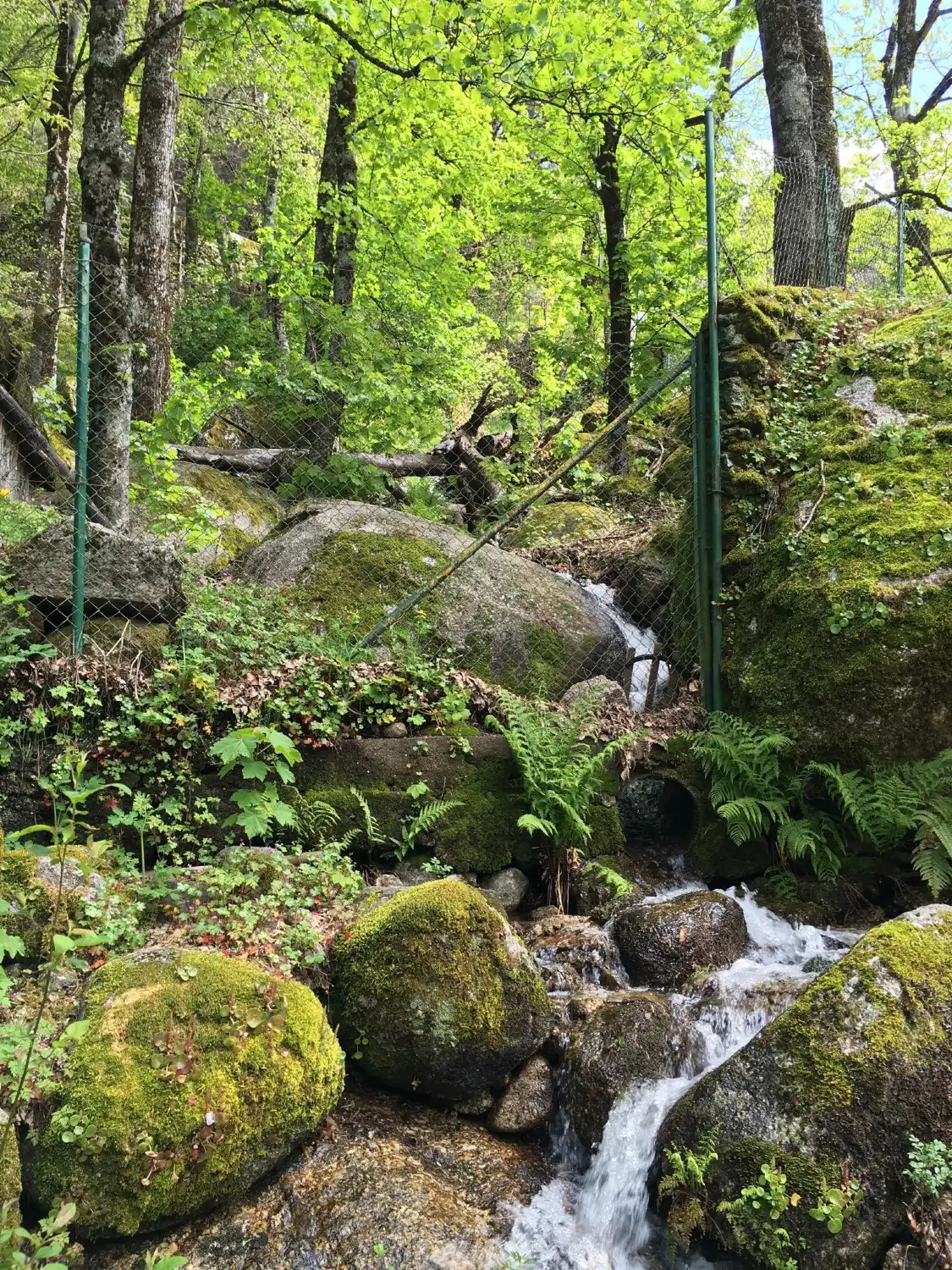 Hotels near Viveiro das Trutas