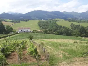 LA FERME AUX PIMENTS