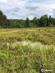 Cranesville Swamp Nature Preserve