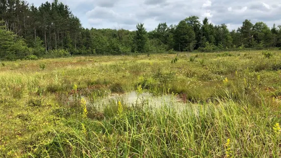 Cranesville Swamp Nature Preserve