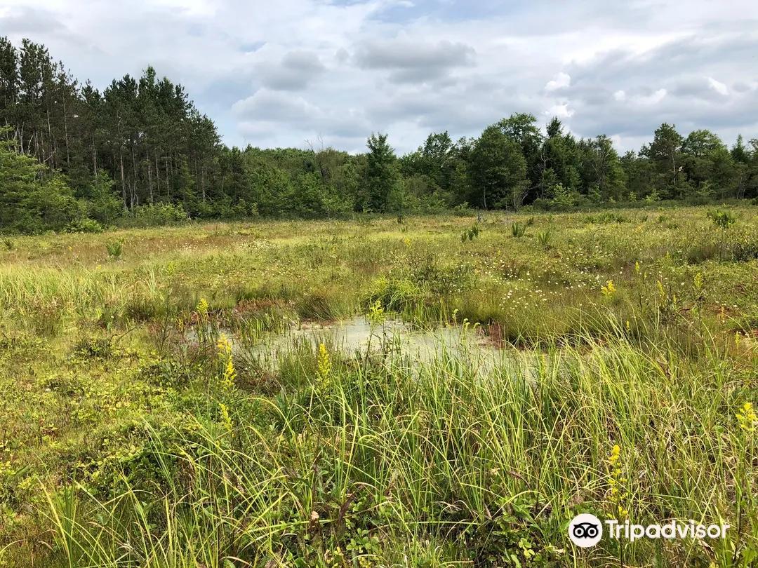 2_Cranesville Swamp Nature Preserve