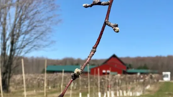 Knaebe's Mmmunchy Krunchy Apple Farm & Cider Mill