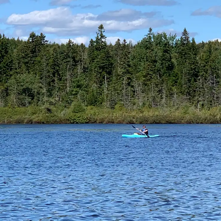 Hotels in Roque Bluffs