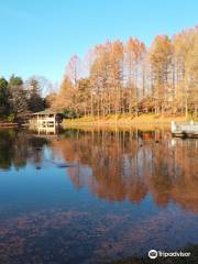 Tochigiken Central Park