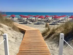 Ultima Spiaggia delle Cesine