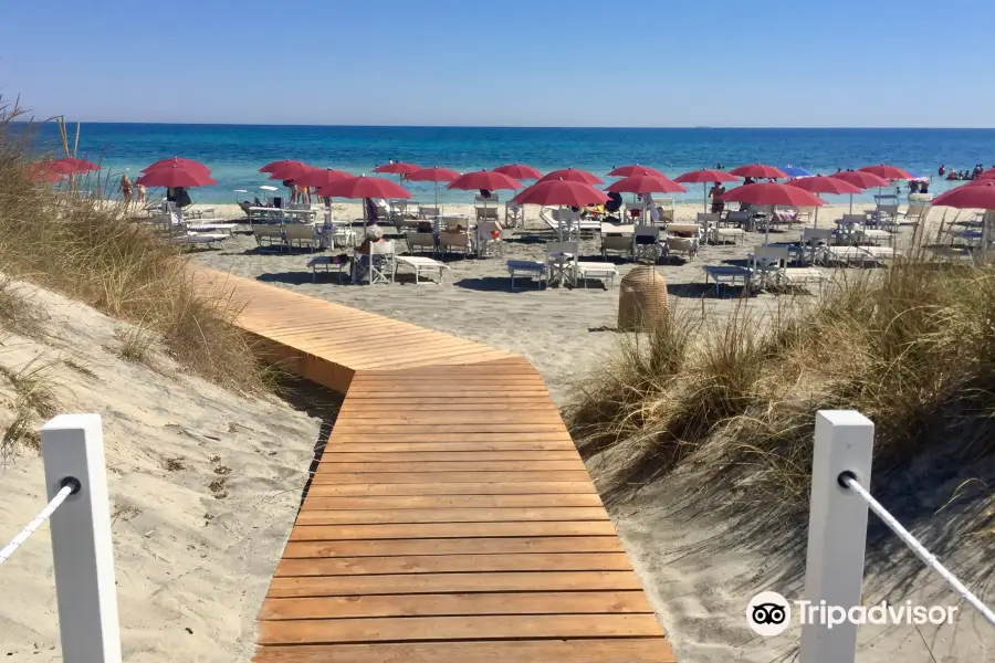 Ultima Spiaggia delle Cesine