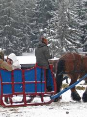 Reserve Bisons Margeride Europe