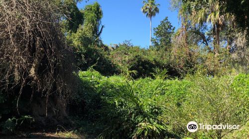 Mackay Gardens and Lakeside Preserve