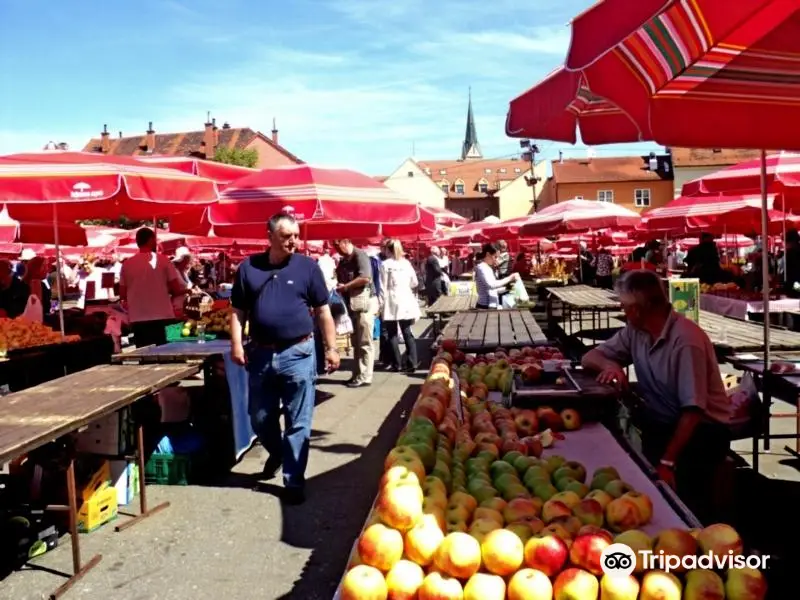 Walk Zagreb