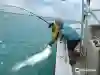 Florida Keys Fun Fishing: Islamorada's Favorite Family Fishing Charter