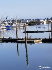 Umpqua Triangle Oysters