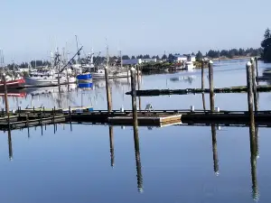 Umpqua Triangle Oysters