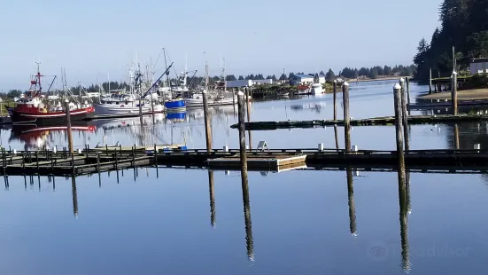 Umpqua Triangle Oysters